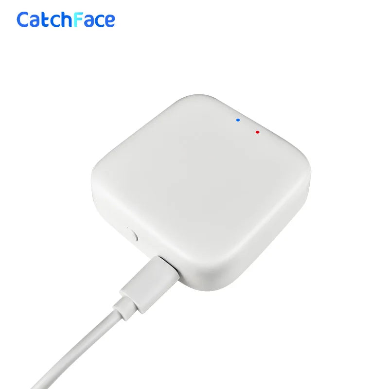 Intelligente Zentrale für Smart Life & Home Assistant-TUYA WiFi/Bluetooth Gateway Hub –